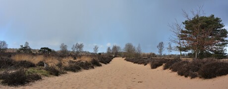 Wandelen op het Balloerveld.