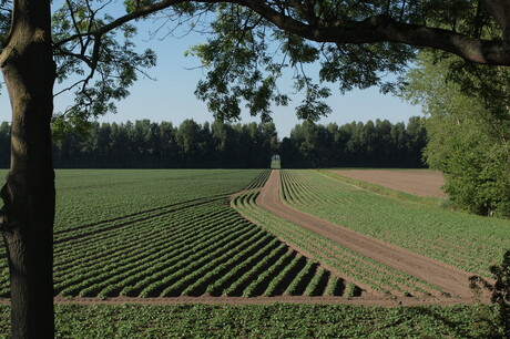 lijnenspel in hoekschewaard