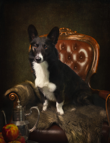 Fine art hond