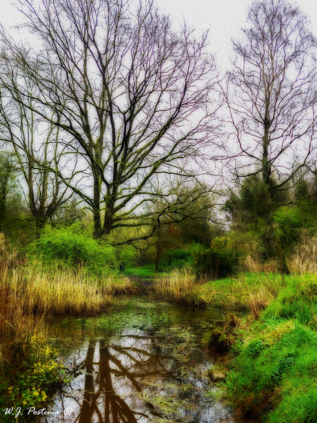 Stadspark, Groningen.