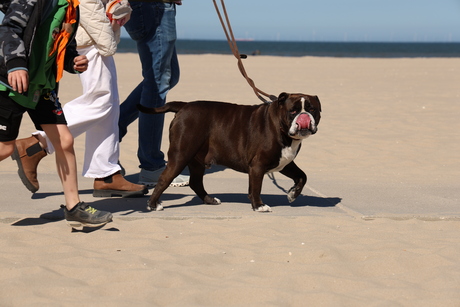 Strandwandeling