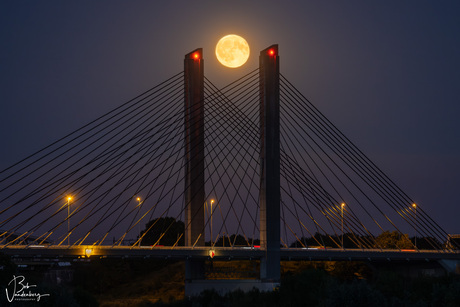 Martinus Nijhoffbrug
