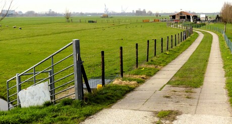 P1300301   Maasland  Molenpad Uitz  op Maassluis West  en  havens  6 mrt 2026  