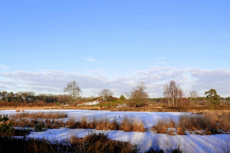 Winter in de vennen