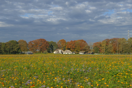 Herfstlandschap