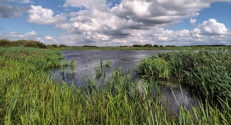 Fochteloërveen