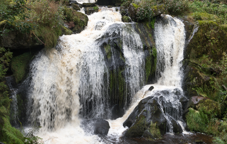 Triberg waterval