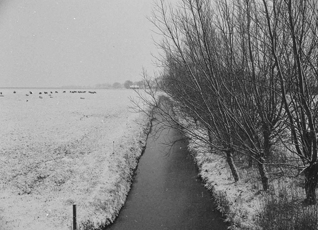 winter in nederland