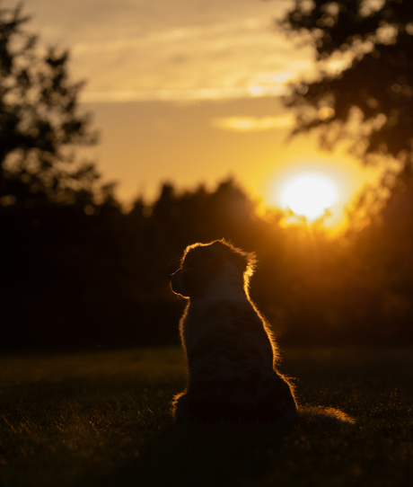 zonsondergang