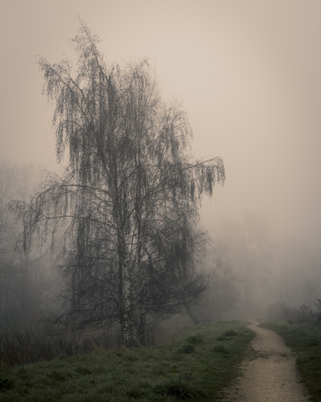 Berk in de mist 
