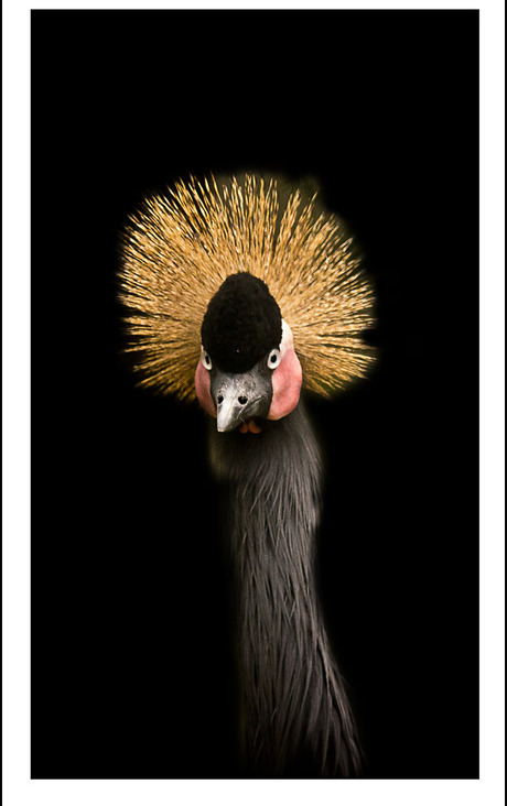 "wat vind je.............................