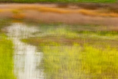 Zevenhuizerplas herfstbeeld