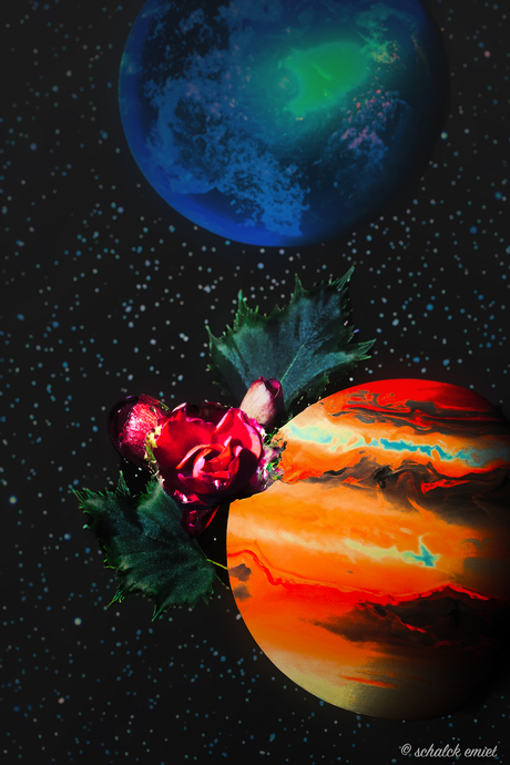 rose in space