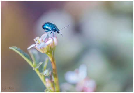 Hij staat er gekleurd op