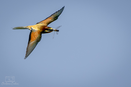 De Juweel van de Lucht
