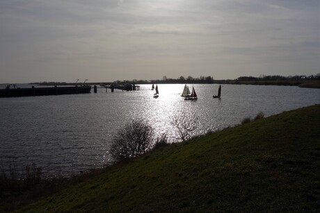 Tholen zeilles aan waterscouts
