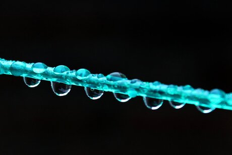 Gouttes d'eau sur la corde à linge.