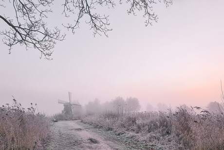 Zonsopgang in de mist 