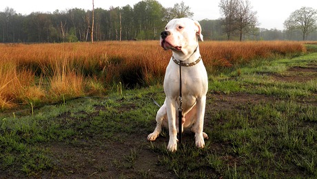 Na gedane arbeid...........