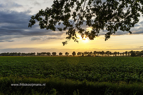 Zonsondergang in Wllemsoord