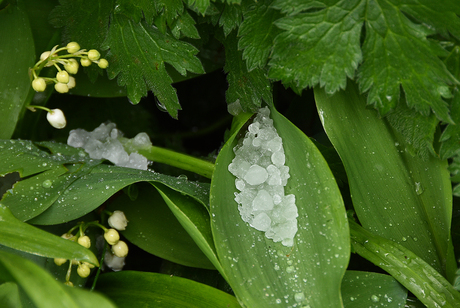 Natuur + weer = sensatie I