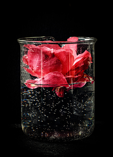 Rozenwater