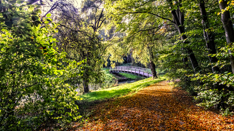 Herfst doet zijn intrede