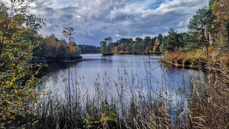 Herfst in Oisterwijk