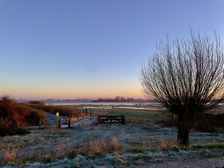 Winterse Zeeuwse polder met opkomende zon 