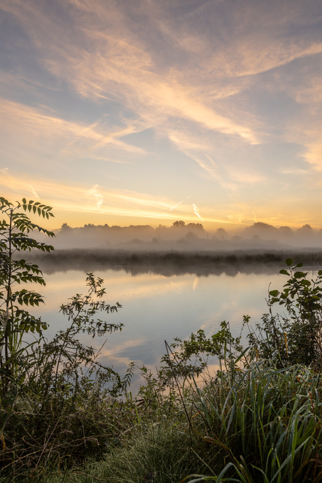 De Regge in de ochtend