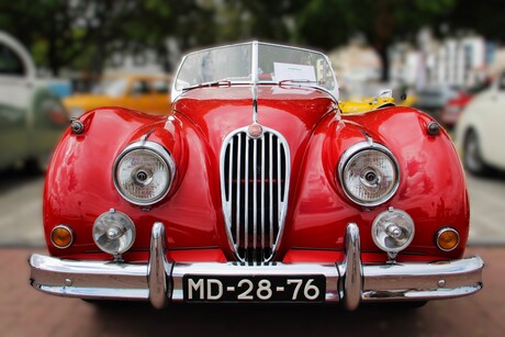 Jaguar XK140
