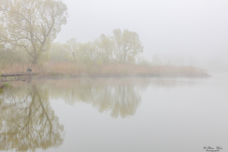 Veel mist in het schulensmeer