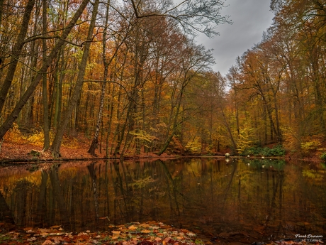 Prachtige herfstkleuren in Park Sonsbeek (Arnhem).