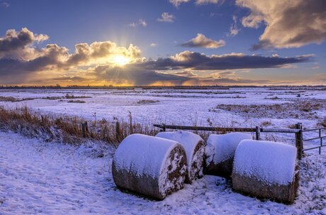 Strobalen in de sneeuw
