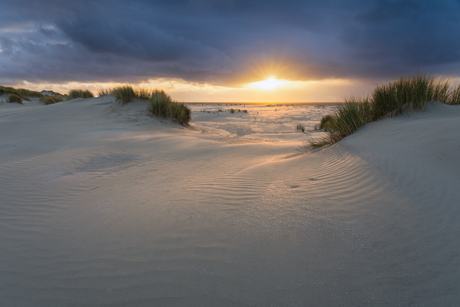Voor de regenbui 
