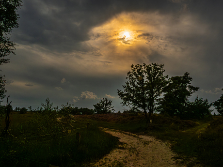 Kalmthoutse Heide