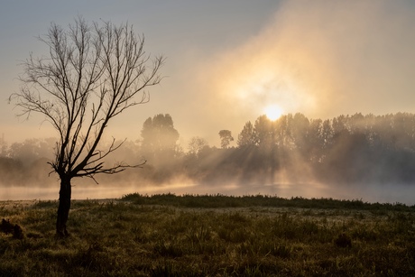 Zonsopkomst