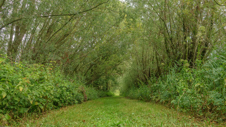 Over "groen" gesproken