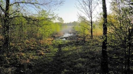 Hokkieveld