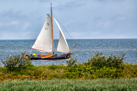 Volle zeilen