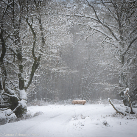 Bank in sneeuw