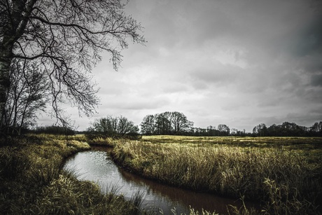 Kronkelriviertje "De Reest"