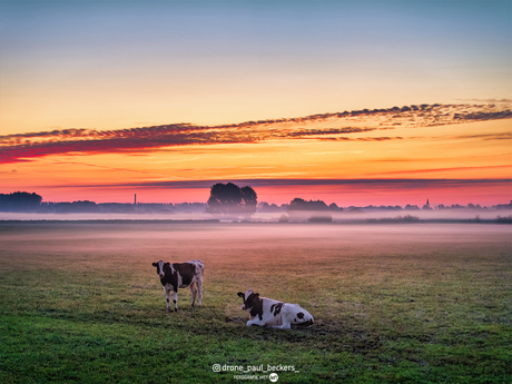 Prachtige zonsopgang deze mistige ochtend.