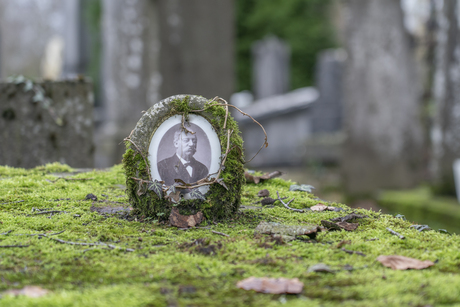 In loving memory (2)