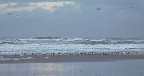 en op wie is het wachten weer!!!!!