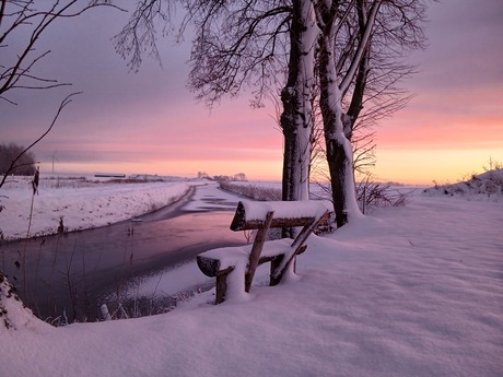 Zonneblik...........