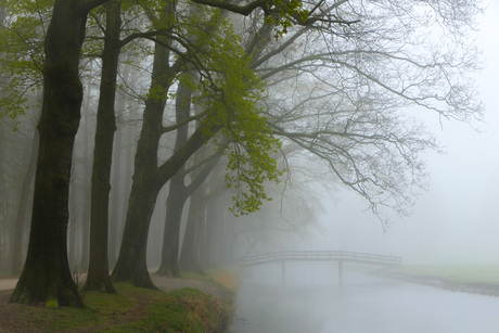 Mist