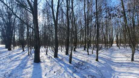 snow and blue sky