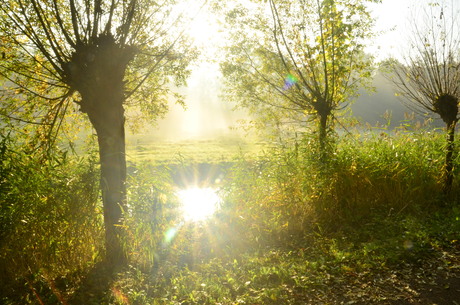 Herfst