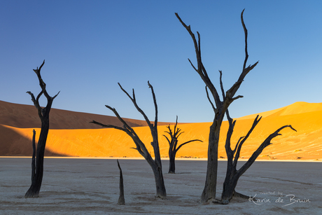 The Dead Marsh!